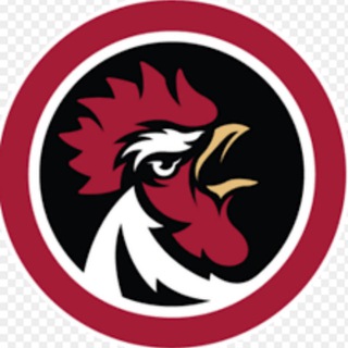 Lịch Thi Đấu & Kết Quả Gà Chọi C1