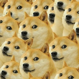 International Friendship Chat (IFC) | English Group