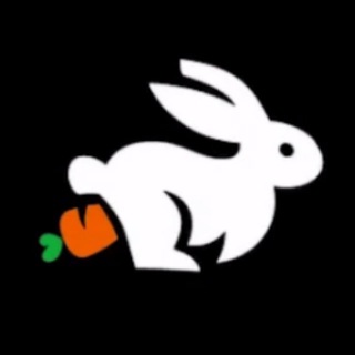 Rabbit VPN за 5 рублей