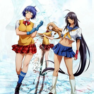 Ikkitousen Anime