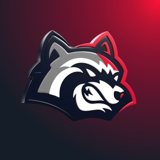 BetFury Official Channel