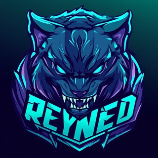 REYNED 🚀