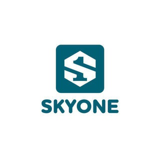 Skyone Official