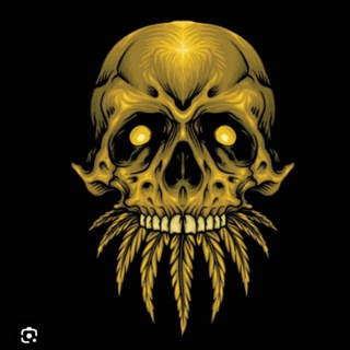 Bestgore Brasil 💀