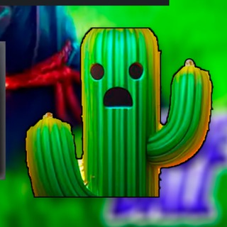 Cactuz | Обходы DISCORD