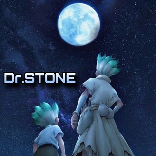 Dr. STONE
