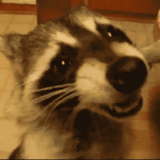 st3lland (DON`T DM ME)