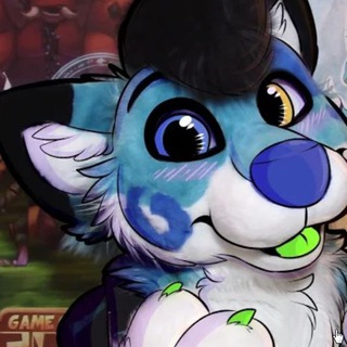 Stormi The Folf's Channel