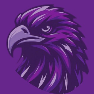 🧑‍💻 CS2 Software Updates