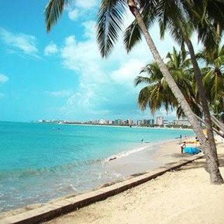 Reino de Atalaia 🇲🇫 | A Cultura furry alagoana