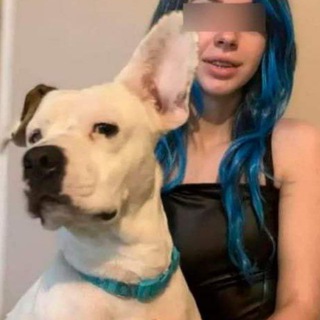 Denise Frazie Dog Video