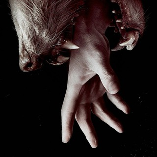 Hemlock Grove
