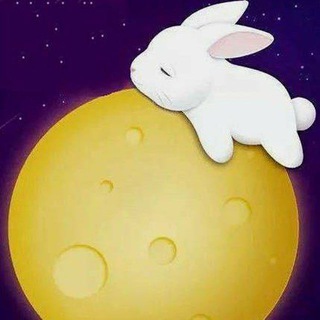 玉兔 实卡接码 （平台）