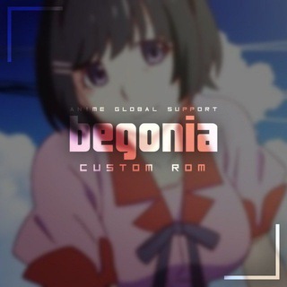 Global Support | Begonia