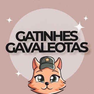 gatinhes ° ᡣ𐭩 . ° .