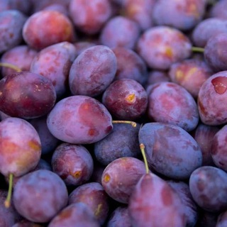 СЛИВ БУСТИ | ПАТРЕОН