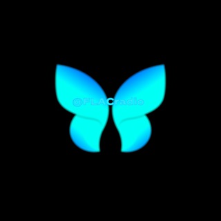 Electronic FLAC Music