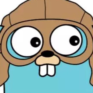 Golang Guide and Problem Solving