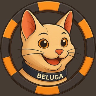 Beluga Casino