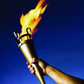 导航：社会政治话题电报&群频道