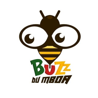 Le buzz du mboa 🇨🇲