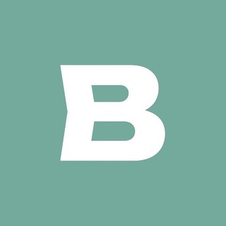 Bebra VPN 🤖 Support