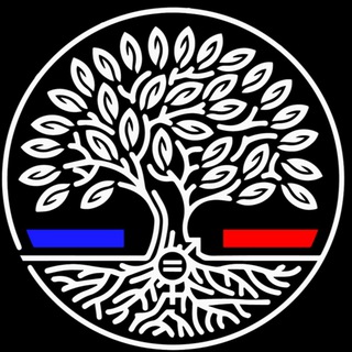 Les essentiels France