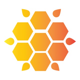 💥 SUNsport | Streaming sport ⚽️