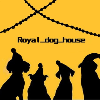 royal_dog_house❤️🫦🫶