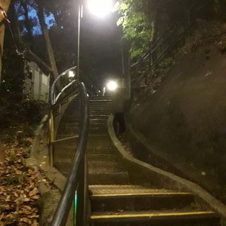 Gay野裸全見分享區(Channel)(2024)