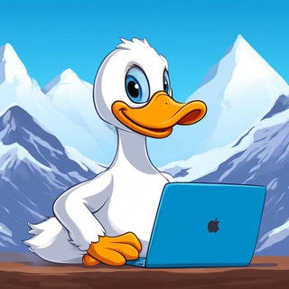 VPN DUCKS - Лучший ВПН сервис