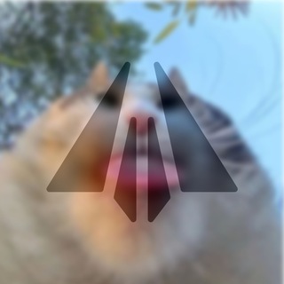 AyuGram bebebebeGround😛