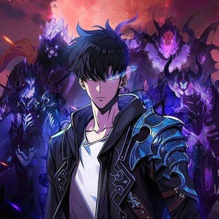 SOLO LEVELING VF 🔥