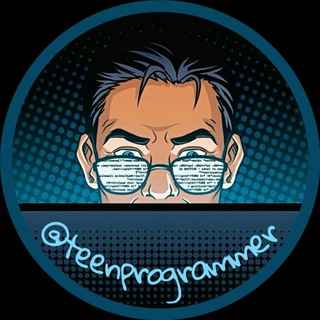 Teen Programmer